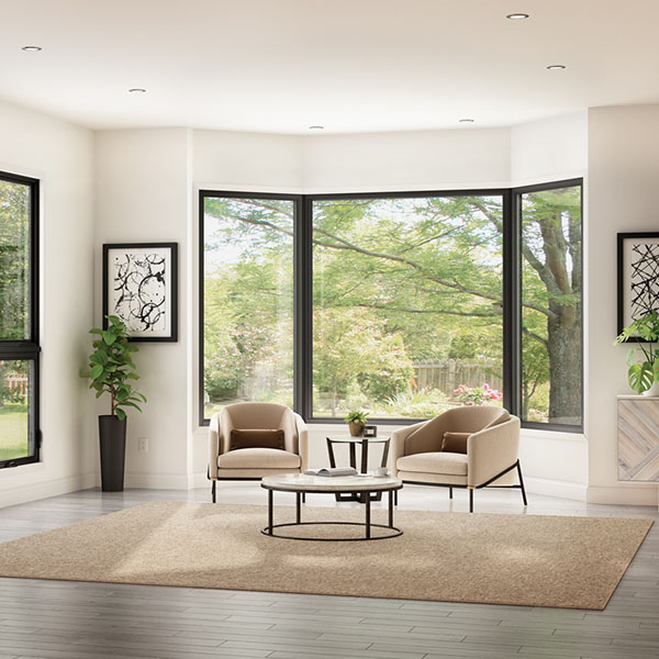 Patio Doors
